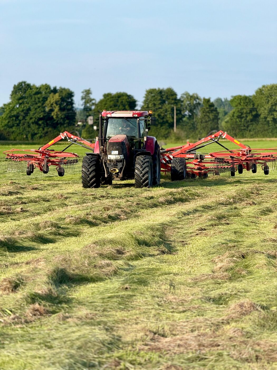 Schwaden mit Kuhn 4-Kreisel-Schwader